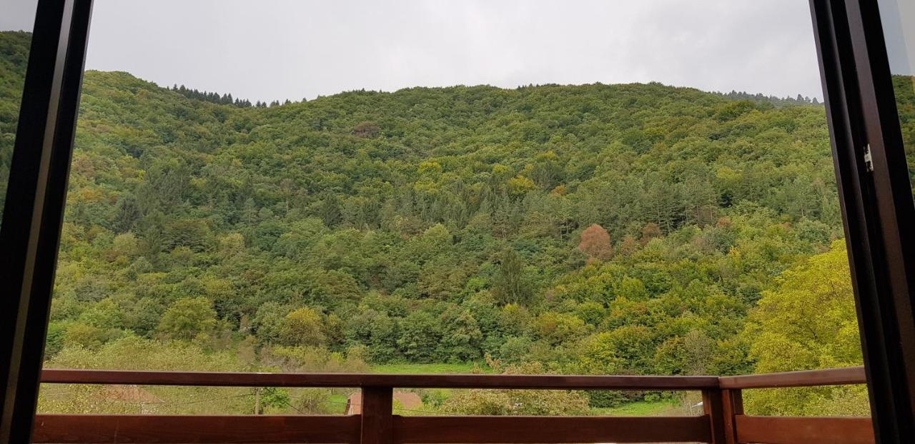 Villa Vrelo Bosne Sarajevo Exterior foto